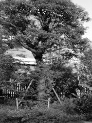 蘇州注冊(cè)公司